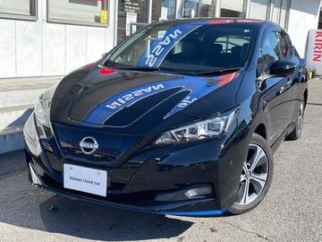 e+ G プロパイロット/アラウンドビューモニター/