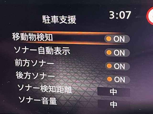 複数画像30