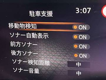 複数画像30
