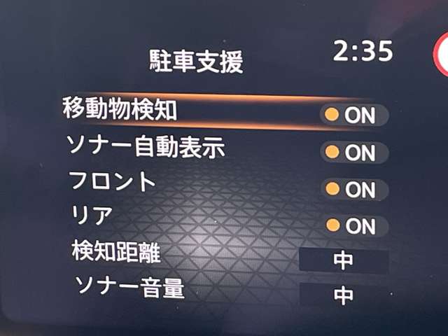 複数画像30