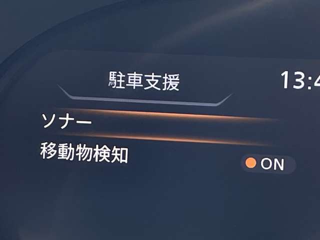 複数画像31