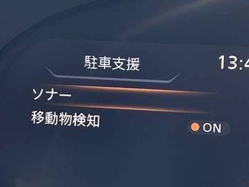 複数画像31