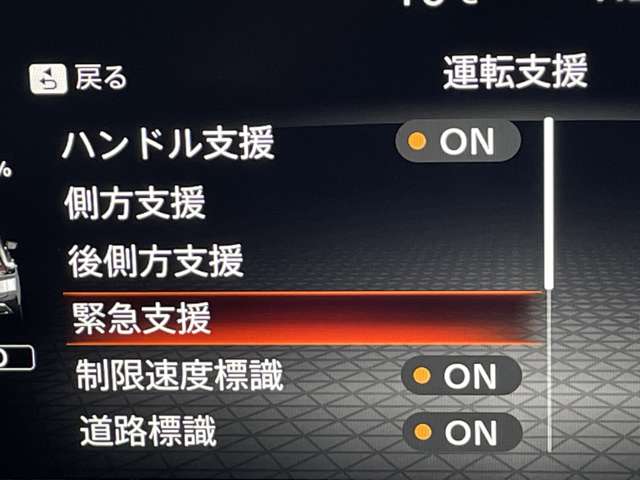 複数画像30