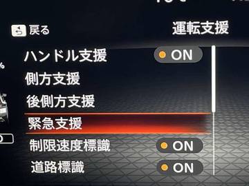 複数画像30