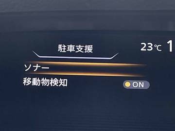 複数画像30