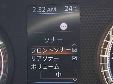 複数画像30