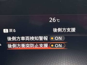 複数画像30