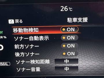 複数画像32