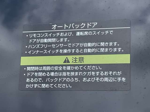 複数画像31