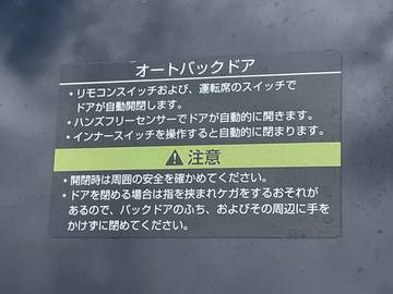 複数画像31