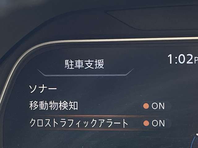 複数画像30