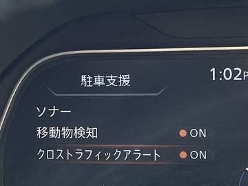 複数画像30