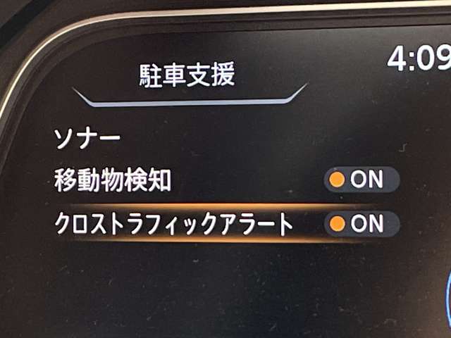 複数画像30