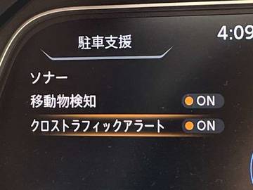 複数画像30