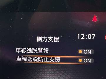 複数画像30
