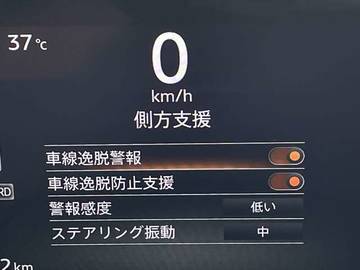 複数画像31