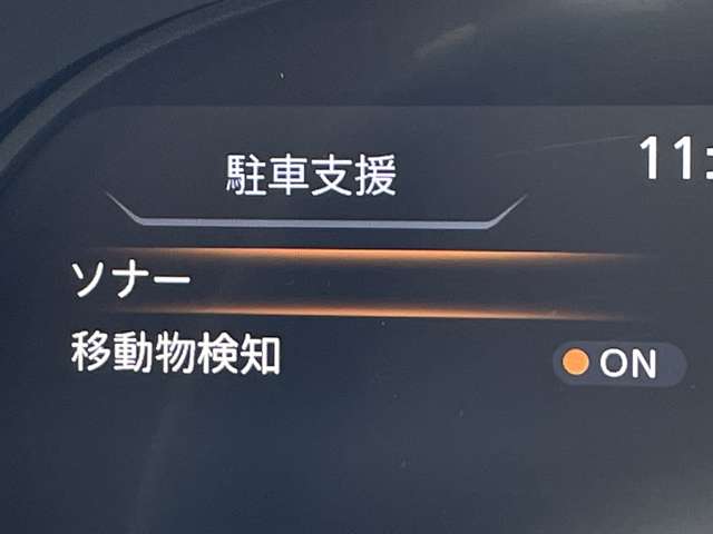 複数画像30