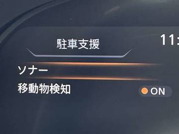 複数画像30