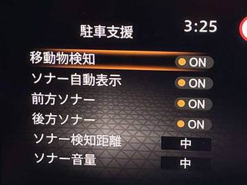 複数画像30