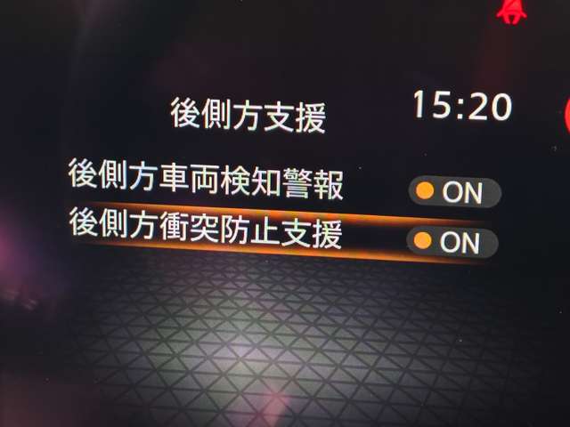 複数画像30