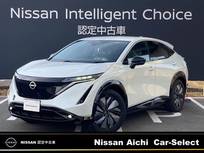 日産 アリア B6 雹害車