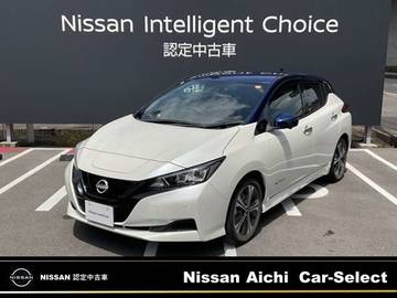 X Vセレクション 寒冷地仕様　プロパイロット