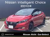日産 リーフ e+ G 寒冷地仕様　プロパイロット　メーカーナビ