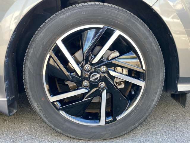 複数画像30