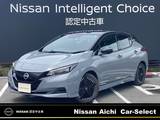 日産 リーフ X Vセレクション 12セグメント　寒冷地　プロパイロット