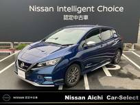 日産 リーフ e+ AUTECH 寒冷地仕様　プロパイロット　メーカーナビ