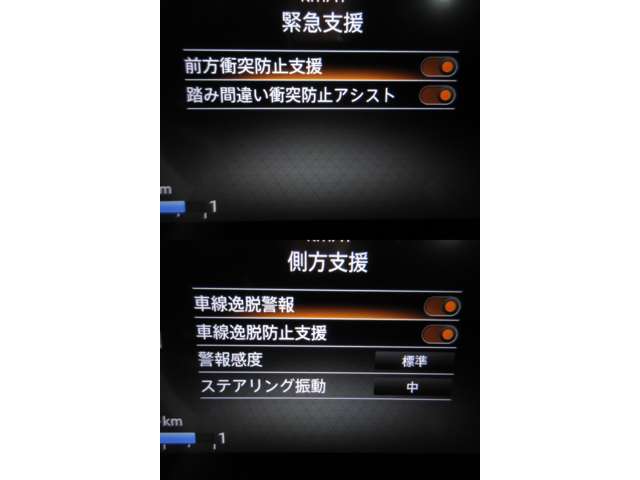 複数画像30