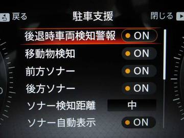 複数画像43