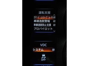 複数画像30