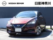 日産 リーフ e+ アーバンクロム プロパイロット・メモリーナビ・TV・Blueto