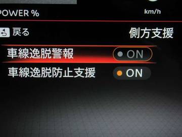 複数画像43