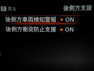 複数画像41