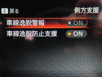 複数画像41