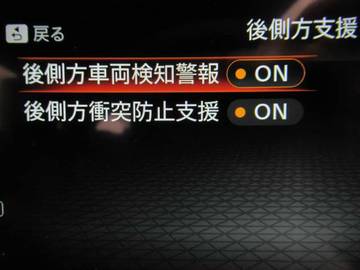 複数画像42