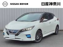 日産 リーフ e+ AUTECH ナビ+AVM ETC2.0 Dレコ P-pilot 1オーナー