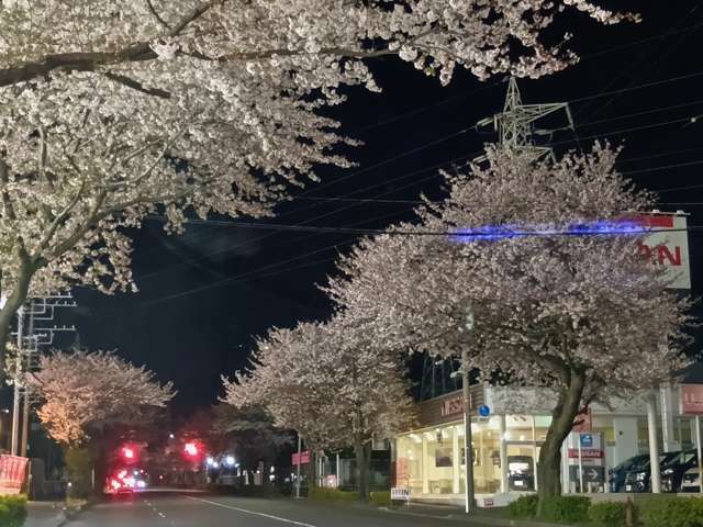 複数画像31