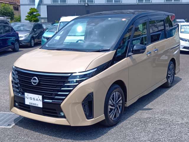 複数画像41