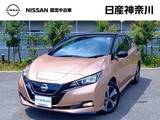 日産 リーフ e+ G 走行用バッテリー残12セグ　プロパイロット