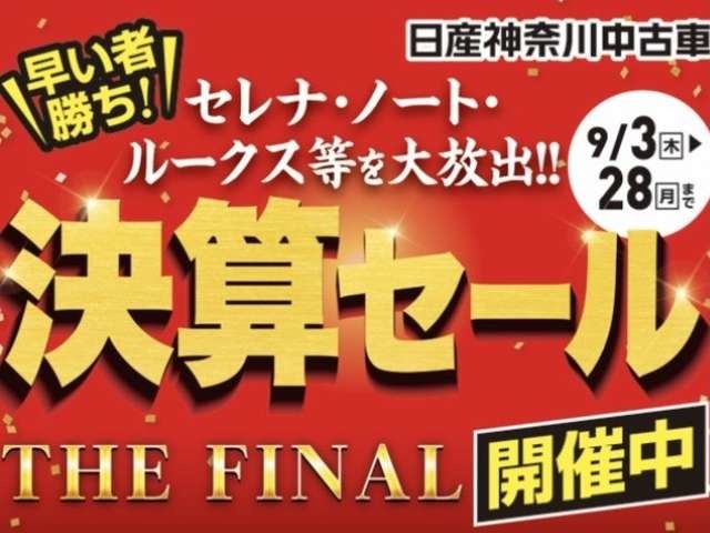 複数画像21