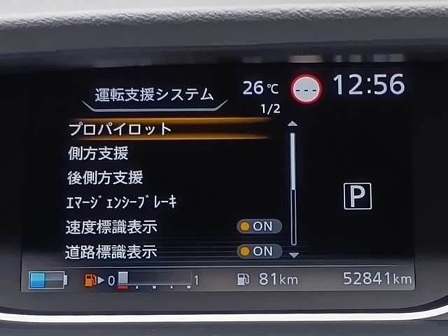 複数画像75