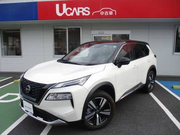 1.5 G e-4ORCE 4WD プロパイアラウンドシートハンドルヒーター