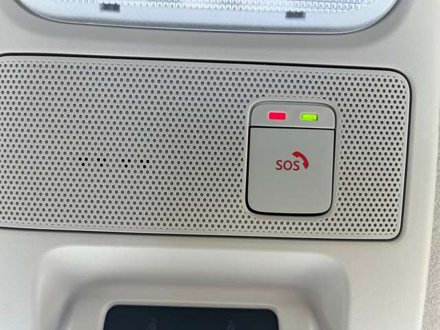 複数画像40