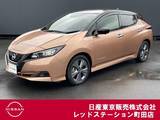 日産 リーフ アーバンクロム プロパイロット　シートヒーター