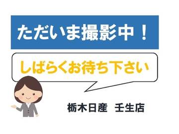 660 ハイウェイスターX プロパイロット エディション プロパイロット　メモリーナビ