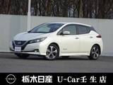 日産 リーフ G メーカーSDナビ 全周囲カメラ 被害軽減BK