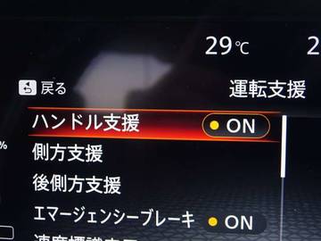 複数画像21